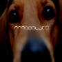Mogolico